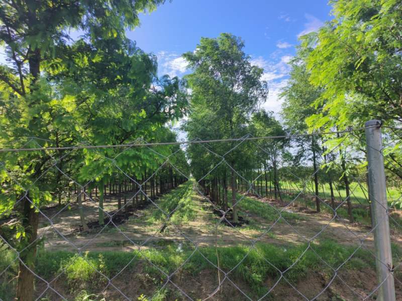 2cc923da05145f346596a5e91c2073de.png 2cc923da05145f346596a5e91c2073de.png