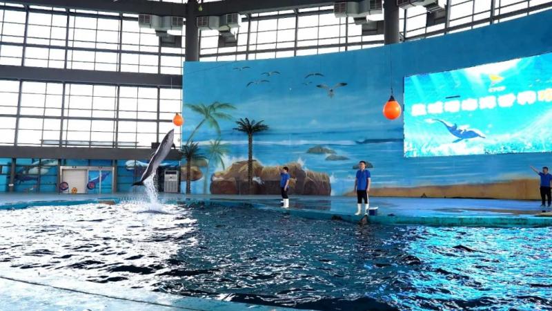 b69e1795c1eed89f3f83aab08cfdbc27.jpg b69e1795c1eed89f3f83aab08cfdbc27.jpg