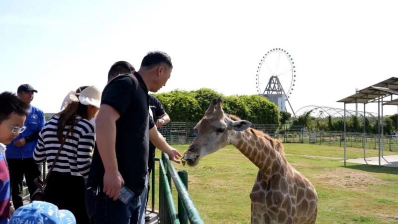 b3b20bfb687f039f5a9fbdbb565f9cb5.jpg b3b20bfb687f039f5a9fbdbb565f9cb5.jpg