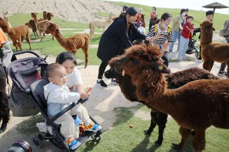 微信圖片_20231010101436.jpg 微信圖片_20231010101436.jpg