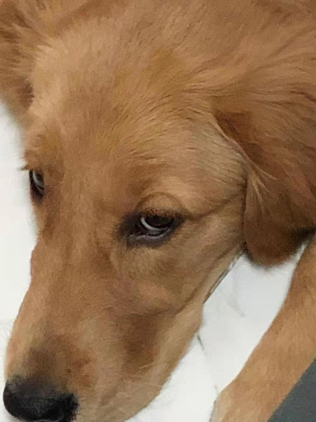 微信圖片_20210308105044.png 微信圖片_20210308105044.png